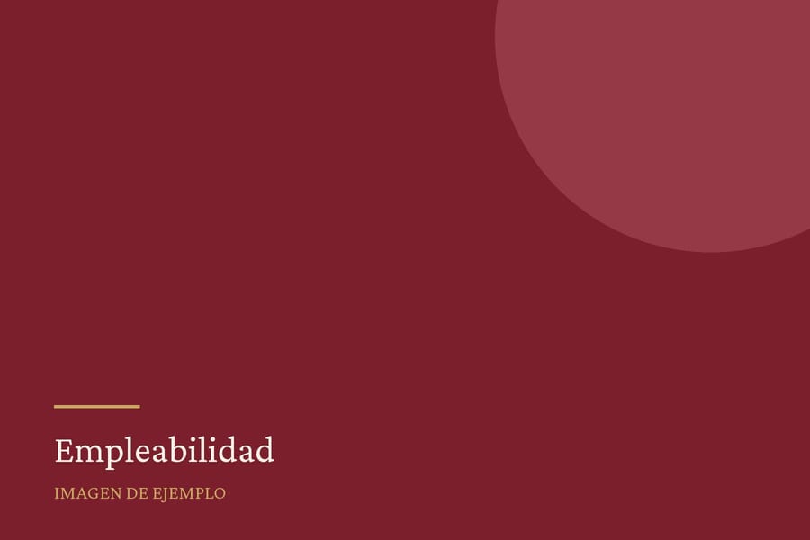 Pieza gráfica de ejemplo sobre empleabilidad